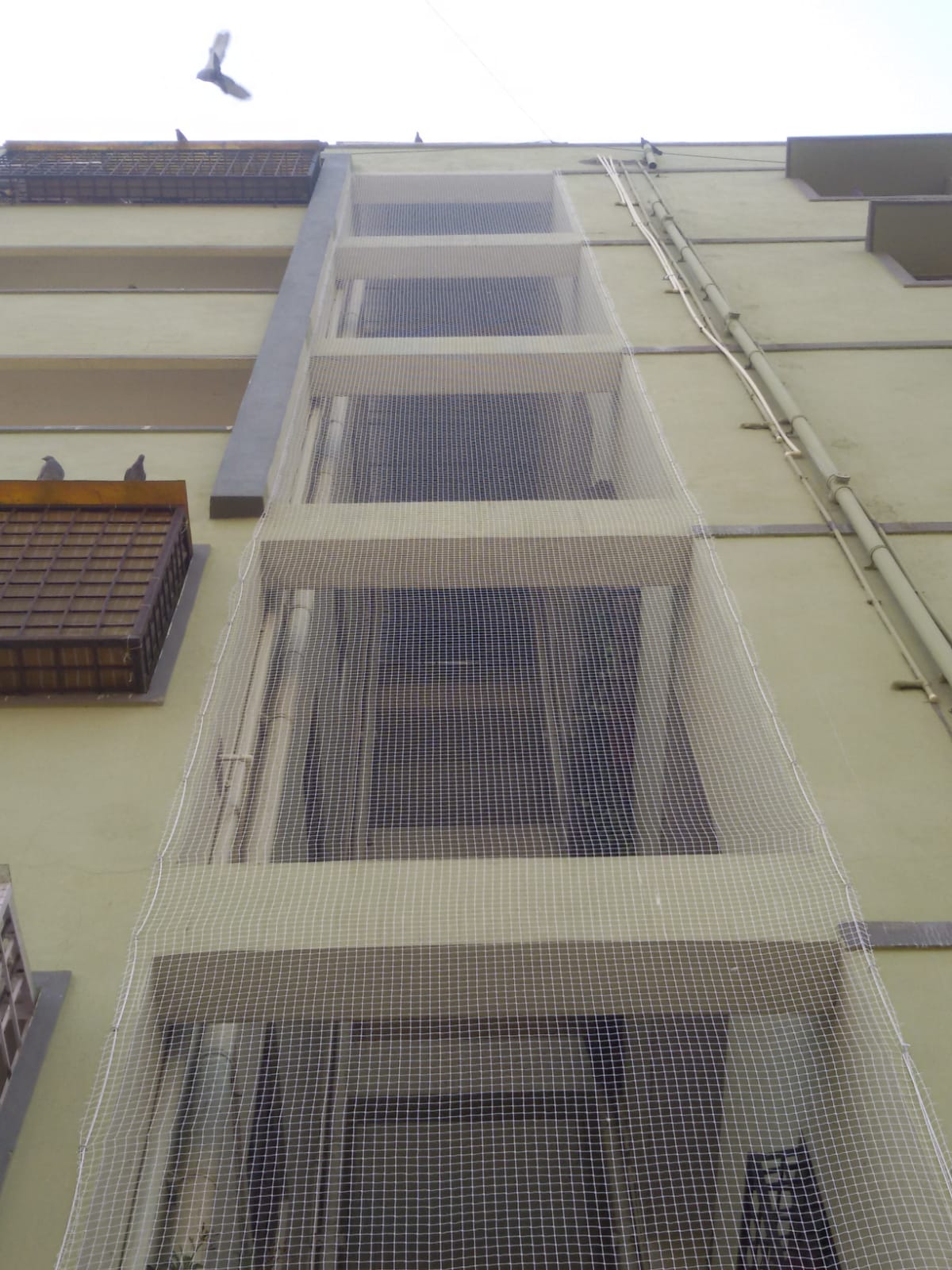 Safety Nets in nagapur